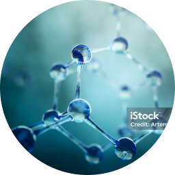 Xanthine Derivatives